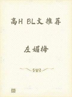 高H BL文推荐